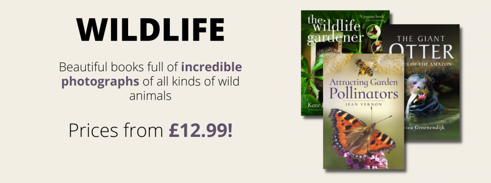 Wildlife Hero Image